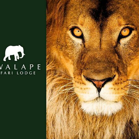 קסנה Kwalape Safari Lodge מראה חיצוני תמונה