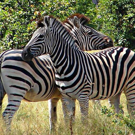 קסנה Kwalape Safari Lodge מראה חיצוני תמונה