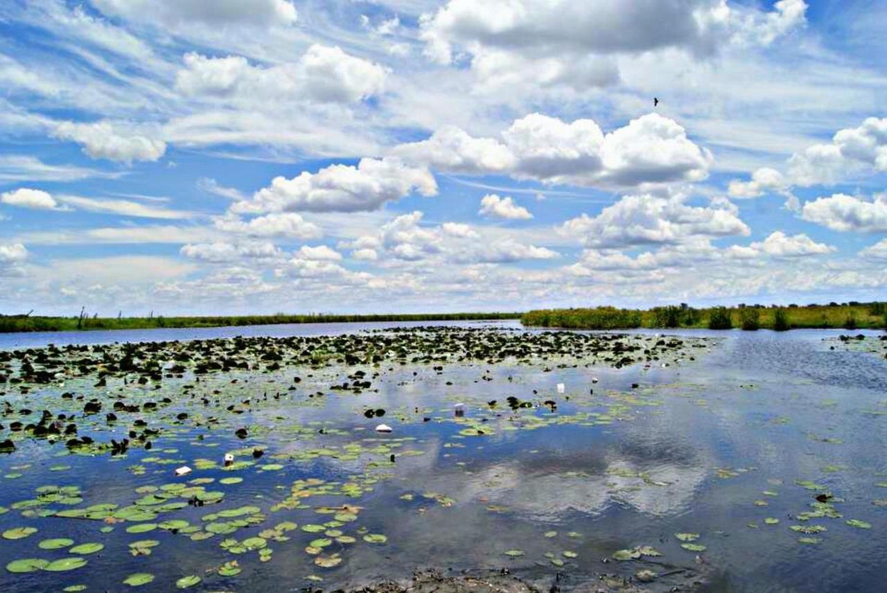 קסנה Kwalape Safari Lodge מראה חיצוני תמונה